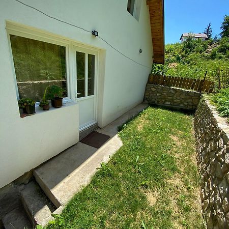 Dea'S Apartment Mavrovo Exterior photo